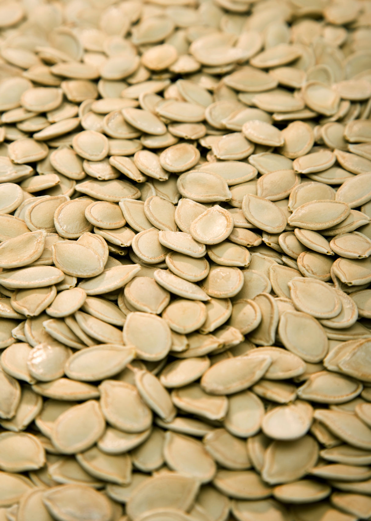 Pumpkin seeds 3